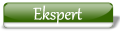Ekspert Ekspert